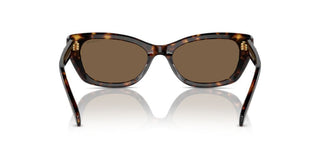 Swarovski SK6019 women Havana Cat Eye Sunglasses