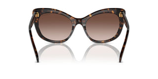 Swarovski Sk6020 Women Havana Cat Eye Sunglasses