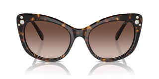 Swarovski Sk6020 Women Havana Cat Eye Sunglasses