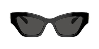 Swarovski Sk6021 Women Black Cat Eye Sunglasses