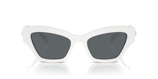 Swarovski SK6021 women White Cat Eye Sunglasses