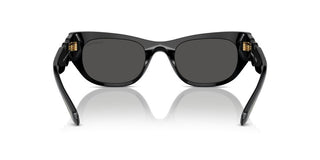 Swarovski Sk6022 Women Black Cat Eye Sunglasses