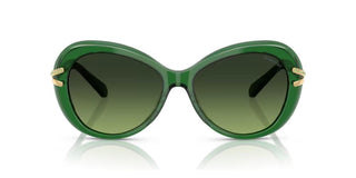 Swarovski SK6026 women Green Butterfly Sunglasses