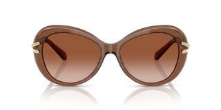 Swarovski SK6026 women Brown Butterfly Sunglasses