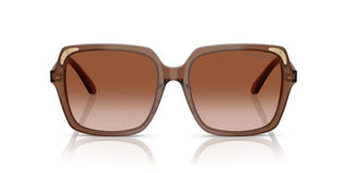 Swarovski SK6034D women Brown Oversize Sunglasses