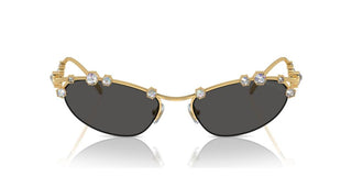 Swarovski SK7016 women Gold Oval Sunglasses