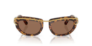 Swarovski SK7026 women Havana Geometric Sunglasses