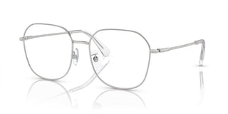 Swarovski SK 1009D women Silver Geometric Eyeglasses