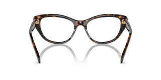 Swarovski SK 2023 women Havana Cat Eye Eyeglasses