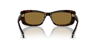 Swarovski SK 6008 women Havana Cat Eye Sunglasses