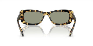 Swarovski SK 6008 women Havana Cat Eye Sunglasses