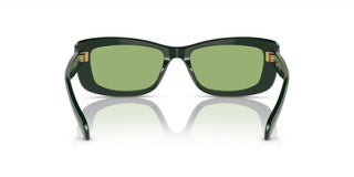 Swarovski SK 6008 women Green Cat Eye Sunglasses