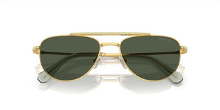 Swarovski SK 7007 women Gold Pilot Sunglasses