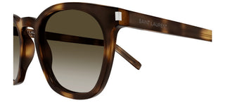 Saint Laurent SL 28 unisex Havana Pantos Sunglasses