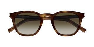 Saint Laurent SL 28 unisex Havana Pantos Sunglasses