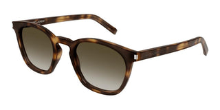 Saint Laurent SL 28 unisex Havana Pantos Sunglasses