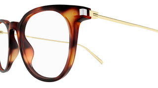 Saint Laurent SL 579 men Havana Round Eyeglasses