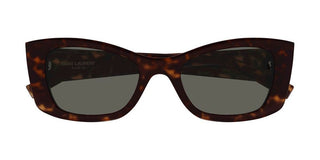 Saint Laurent SL 593 women Havana Cat Eye Sunglasses