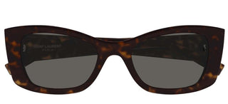 Saint Laurent SL 593 women Havana Cat Eye Sunglasses