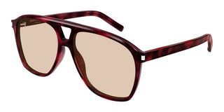 Saint Laurent SL 596 DUNE women Havana Pilot Sunglasses