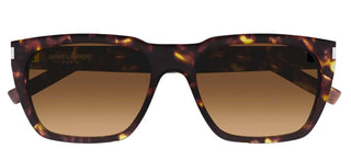 Saint Laurent SL 598 men Havana Squared Sunglasses