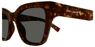 Saint Laurent SL 641 women Havana Cat Eye Sunglasses