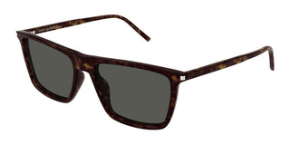 Saint Laurent SL 668 men Havana Squared Sunglasses