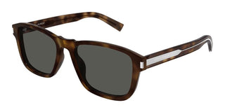 Saint Laurent Sl 710 Sun Men Havana Squared Sunglasses