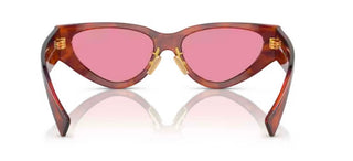 Miu Miu SMU 03ZS women Havana Cat Eye Sunglasses