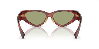 Miu Miu SMU 03ZS women Havana Cat Eye Sunglasses