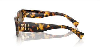 Miu Miu SMU 03ZS women Havana Cat Eye Sunglasses