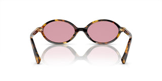 Miu Miu SMU 04ZS women Havana Oval Sunglasses