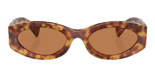 Miu Miu SMU 11WS women Havana Oval Sunglasses