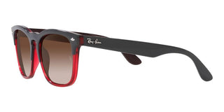 Ray-Ban STEVE RB 4487 unisex 0 Squared Sunglasses