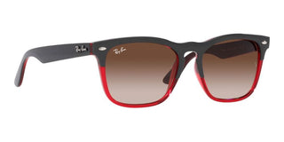 Ray-Ban STEVE RB 4487 unisex 0 Squared Sunglasses