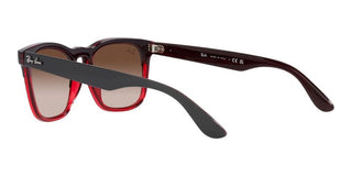 Ray-Ban STEVE RB 4487 unisex 0 Squared Sunglasses