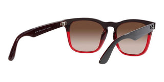 Ray-Ban STEVE RB 4487 unisex 0 Squared Sunglasses