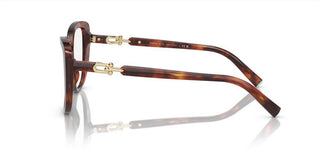 Tiffany & Co. TF 2242 women Havana Cat Eye Eyeglasses