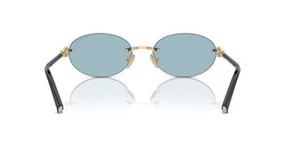 Tiffany & Co. TF 3104D unisex Gold Oval Sunglasses