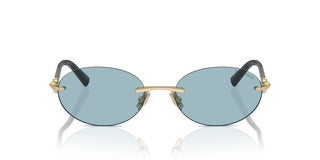 Tiffany & Co. TF 3104D unisex Gold Oval Sunglasses