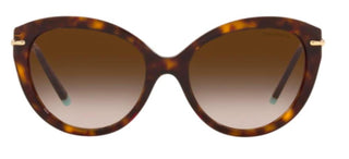 Tiffany & Co. TF 4187 women Havana Cat Eye Sunglasses