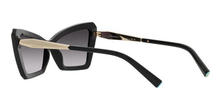 Tiffany & Co. TF 4203 women Black Geometric Sunglasses