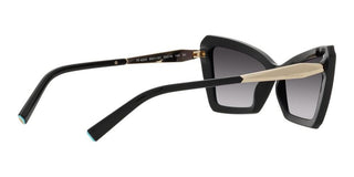 Tiffany & Co. TF 4203 women Black Geometric Sunglasses