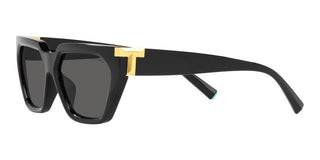 Tiffany & Co. TF 4205U women Black Geometric Sunglasses