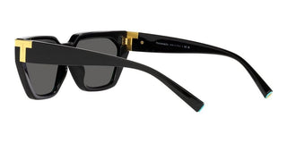 Tiffany & Co. TF 4205U women Black Geometric Sunglasses