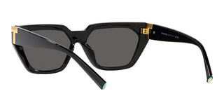 Tiffany & Co. TF 4205U women Black Geometric Sunglasses