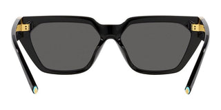 Tiffany & Co. TF 4205U women Black Geometric Sunglasses