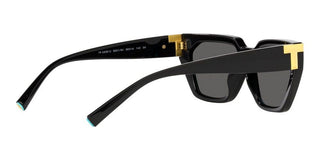 Tiffany & Co. TF 4205U women Black Geometric Sunglasses