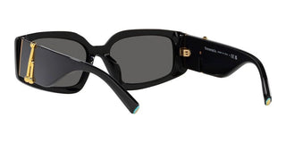 Tiffany & Co. TF 4208U women Black Geometric Sunglasses