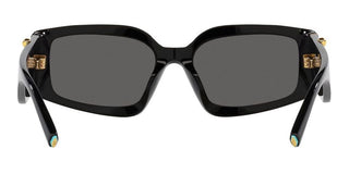 Tiffany & Co. TF 4208U women Black Geometric Sunglasses